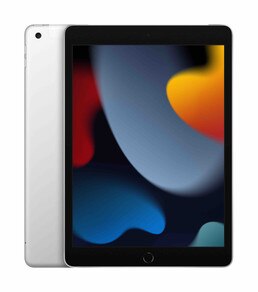 10.2-inch iPad Wi-Fi + Cell (9th Generation)