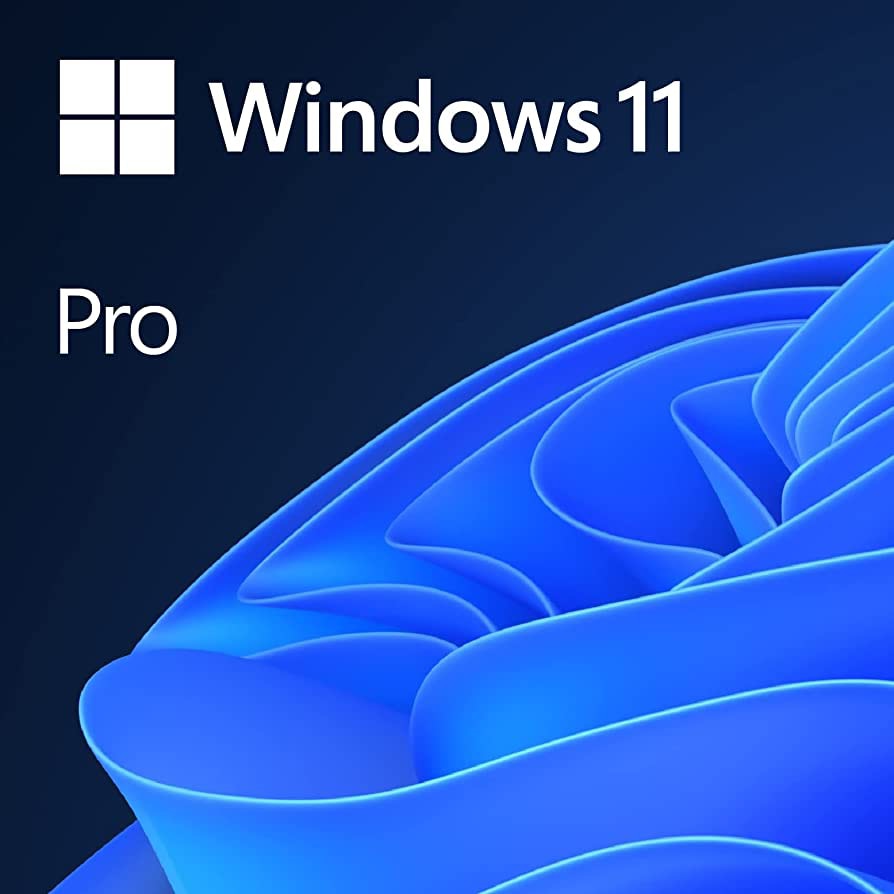 Microsoft Windows 11 Pro - Win ESD Perpetual License - 1 User