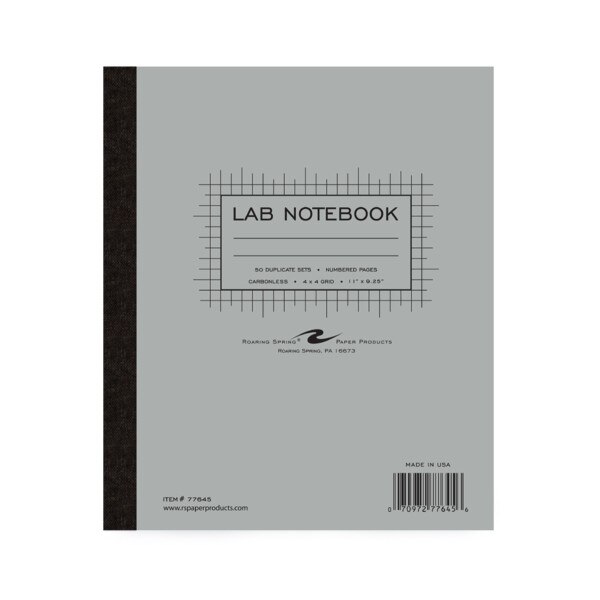 Roaring Spring Graph Lab Notebook