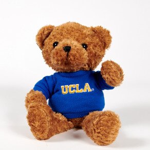 UCLA Crew Bear