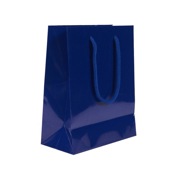 UCLA Small Laminated Gift Bag