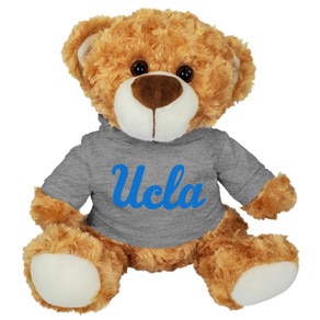UCLA Grey Hoodie Bear