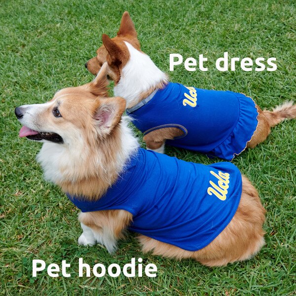 UCLA dog clothes, pet hoodie