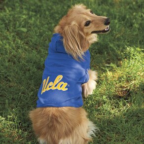  NCAA UCLA Bruins Cotton Lycra Hooded Dog Shirt, X