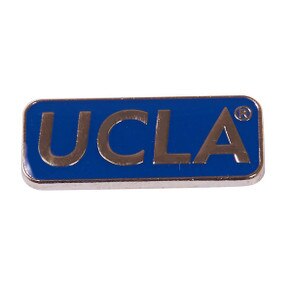 UCLA Identity Pin