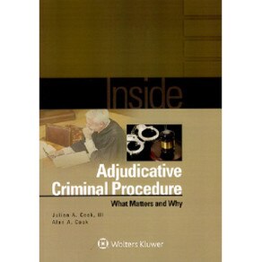 INSIDE ADJUTICATIVE CRIMINAL PROCEDURE